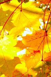 Similar image 471398