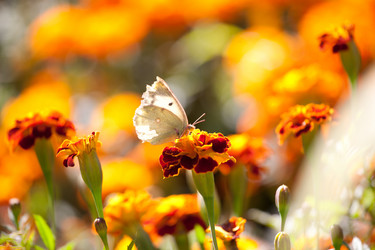 Similar image 471423