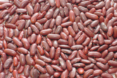 Similar image 471458