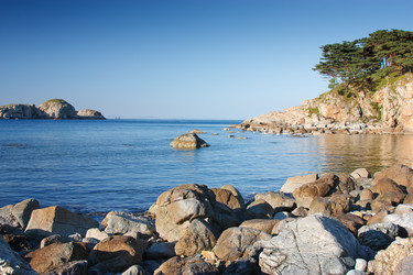 Similar image 471468