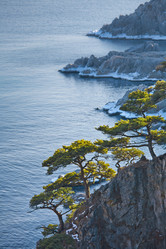 Similar image 471493