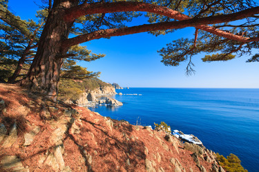 Similar image 471504