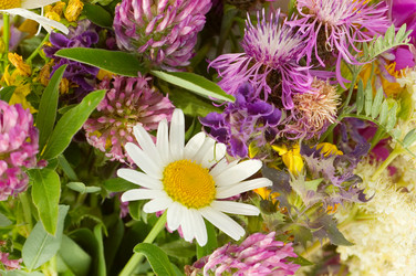 Similar image 471514