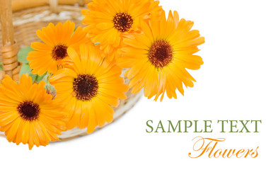 Similar image 471515