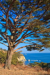 Similar image 471517