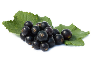 Similar image 471523