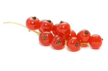 Similar image 471526