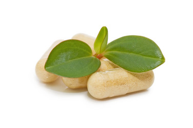 Similar image 471531