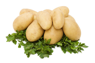 Similar image 471533