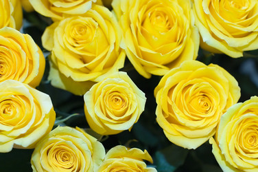 Similar image 471716