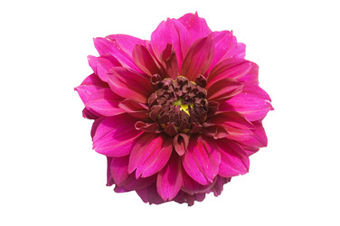 Similar image 471718