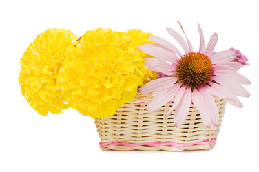 Similar image 471723