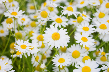 Similar image 471726