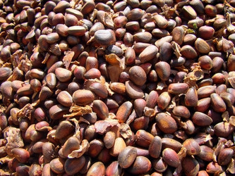 Similar image 471902