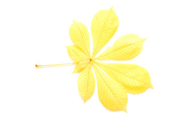 Similar image 471936