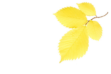 Similar image 471940