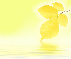 Similar image 471941