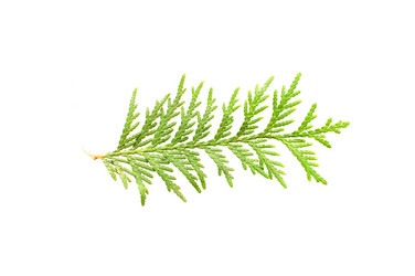 Similar image 471943