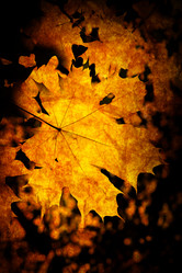 Similar image 471978