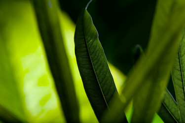 Similar image 472010