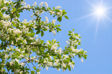 Similar image 472121