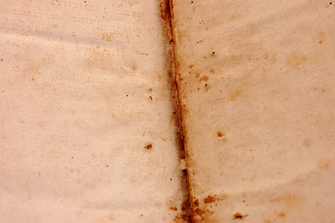 Similar image 472144