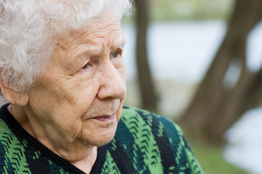 Similar image 472301