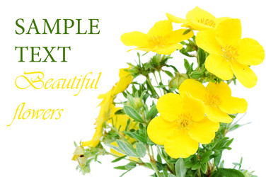 Similar image 472325