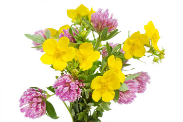 Similar image 472326