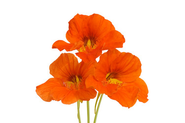 Similar image 472327