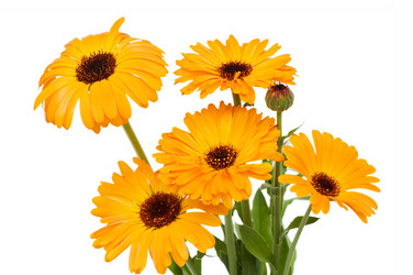 Similar image 472328