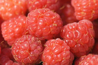 Similar image 472338