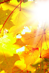 Similar image 472341