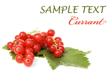 Similar image 472343