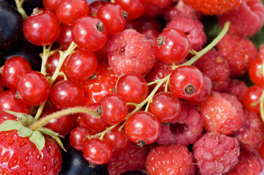 Similar image 472345