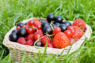 Similar image 472346