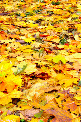 Similar image 472356