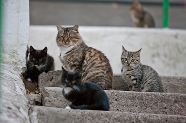 Similar image 472361