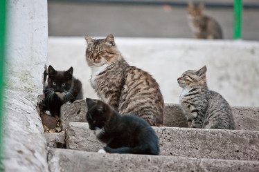 Similar image 472366