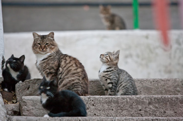 Similar image 472378