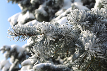 Similar image 472413