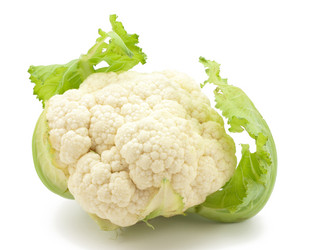 Similar image 472431