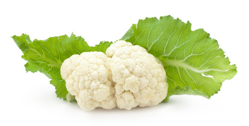 Similar image 472442