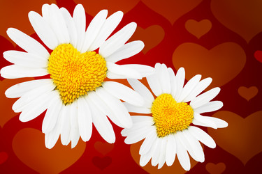 Similar image 472475