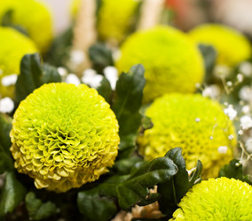 Similar image 472568