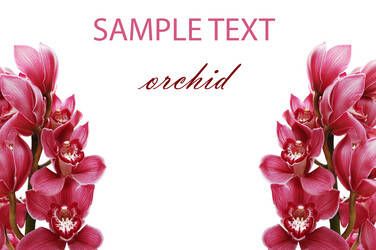 Similar image 472579