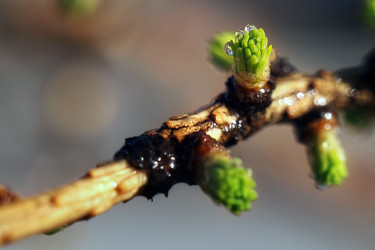 Similar image 472600