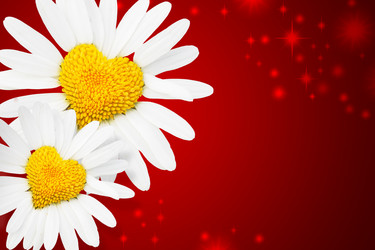 Similar image 472740