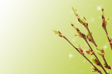 Similar image 472801