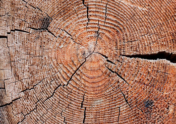 Similar image 472808